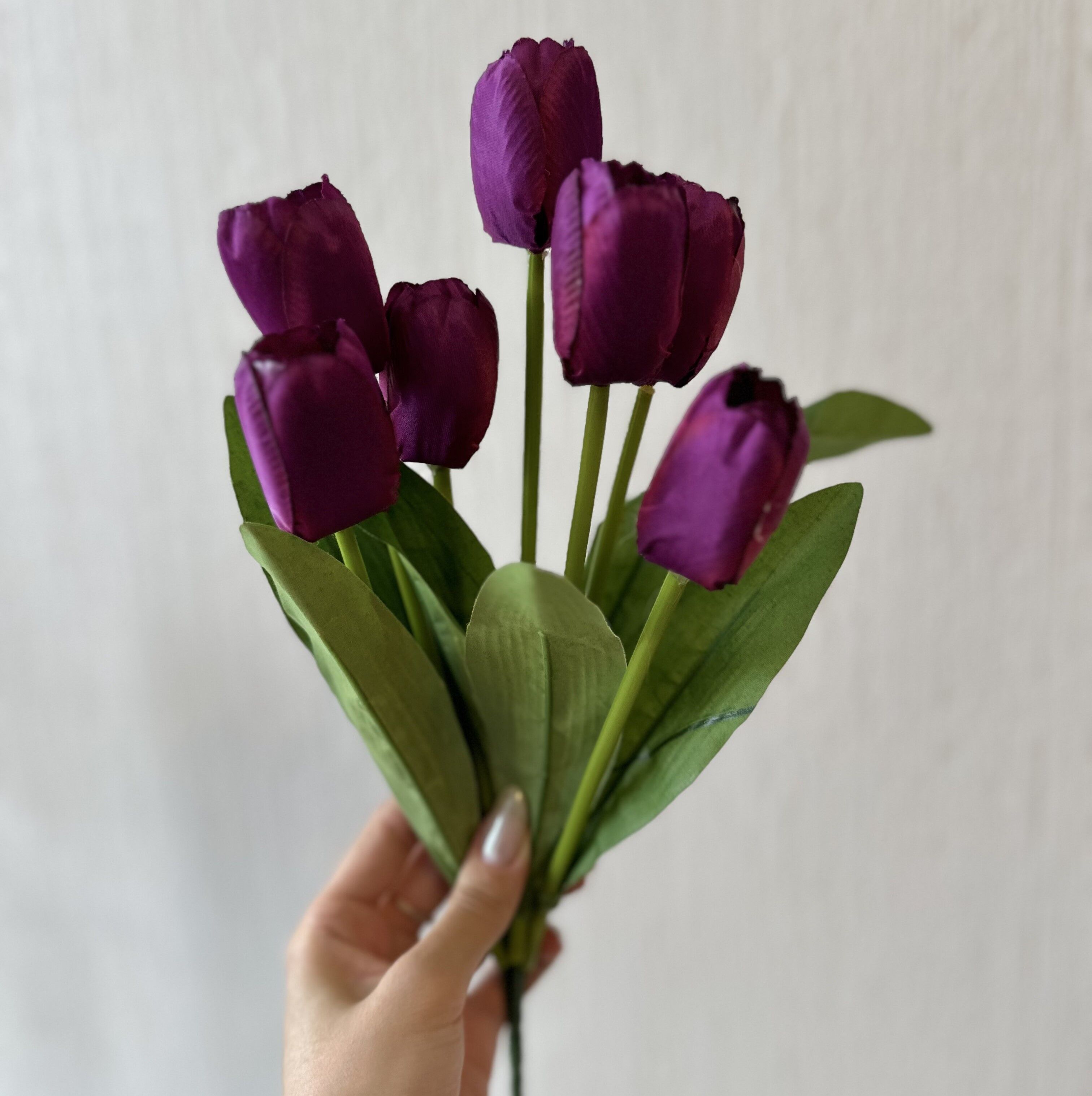 7 Фиолетовых Тюльпанов